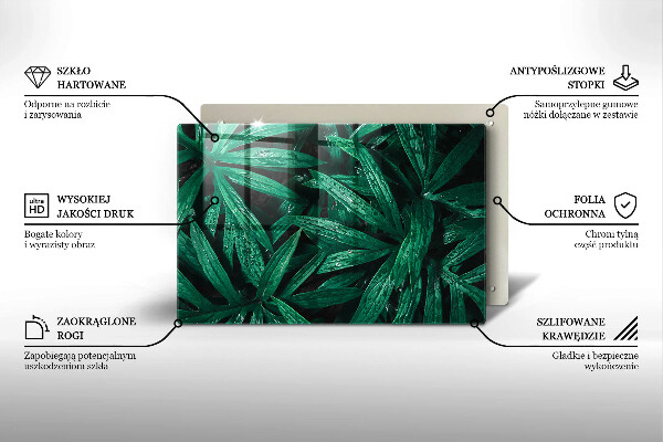 Skleněná deska za sporák Listy rostlin