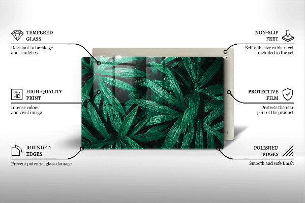 Skleněná deska za sporák Listy rostlin