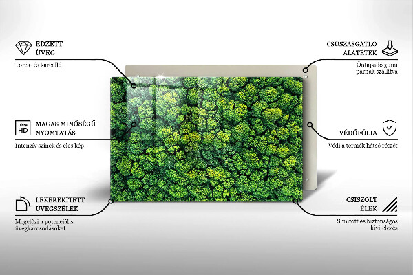 Skleněná deska za sporák Přírodní mechová rostlina