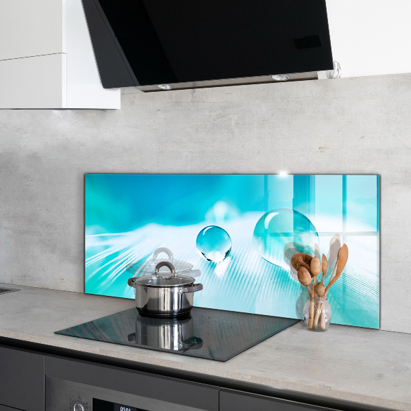 Skleněný panel Rosa na jemném peří