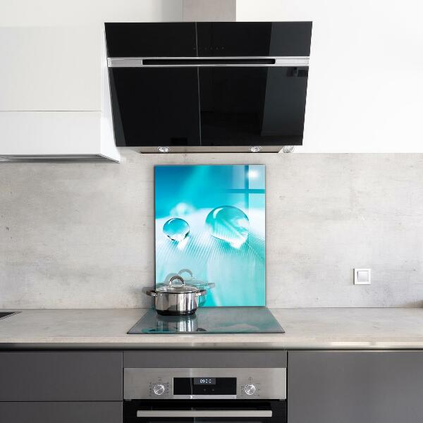 Skleněný panel Rosa na jemném peří