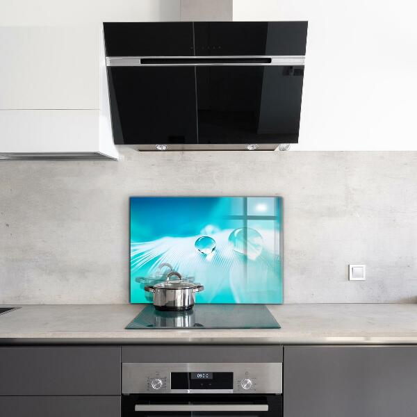 Skleněný panel Rosa na jemném peří