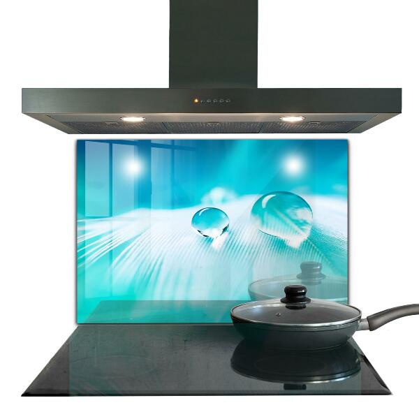 Skleněný panel Rosa na jemném peří