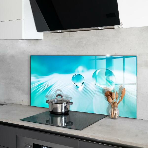 Skleněný panel Rosa na jemném peří