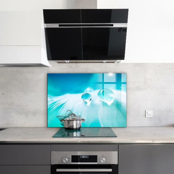 Skleněný panel Rosa na jemném peří