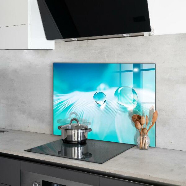 Skleněný panel Rosa na jemném peří