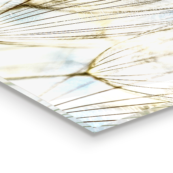 Skleněný panel Pampeliška pampeliška ve větru