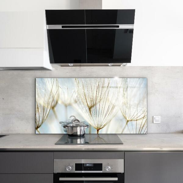 Skleněný panel Pampeliška pampeliška ve větru