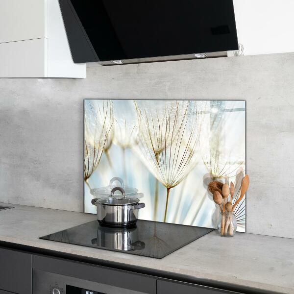 Skleněný panel Pampeliška pampeliška ve větru