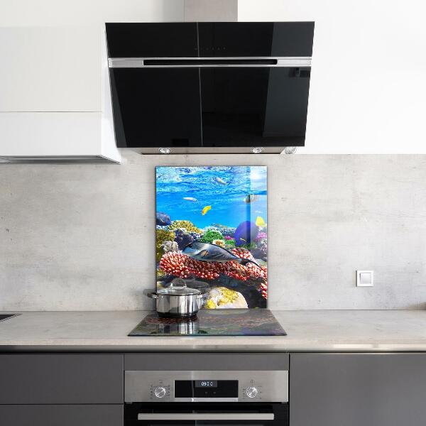 Skleněný panel Korálový útes rudé moře