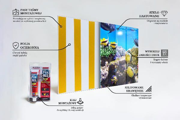 Skleněný panel Korálový útes rudé moře