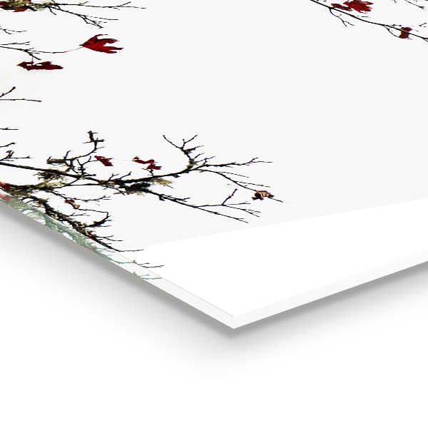 Skleněný panel Krajina klid