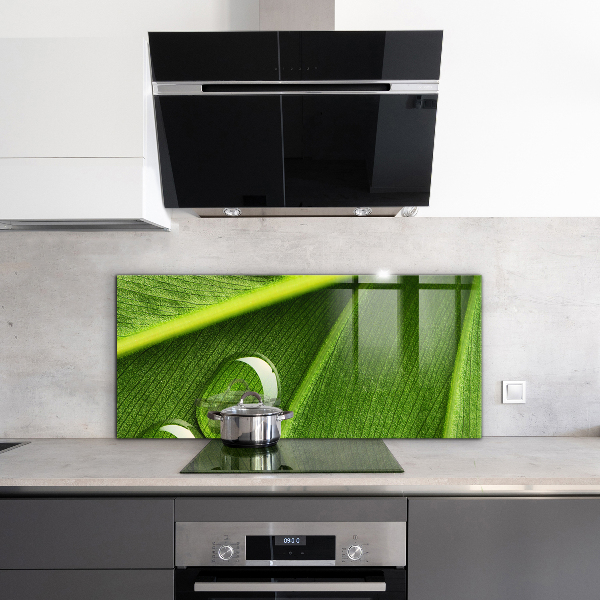 Skleněný panel Kapka rosy na listu