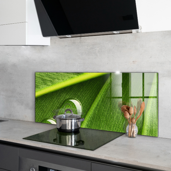 Skleněný panel Kapka rosy na listu