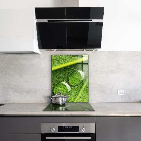 Skleněný panel Kapka rosy na listu