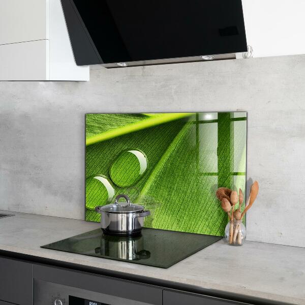 Skleněný panel Kapka rosy na listu