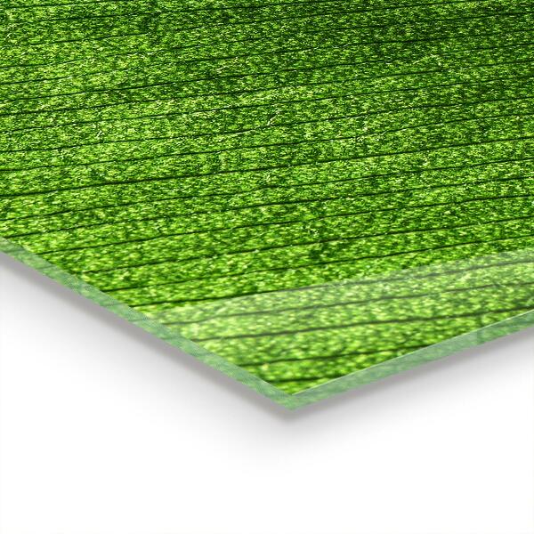 Skleněný panel Kapka rosy na listu