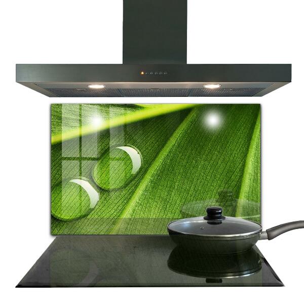 Skleněný panel Kapka rosy na listu