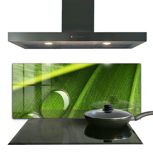 Skleněný panel Kapka rosy na listu