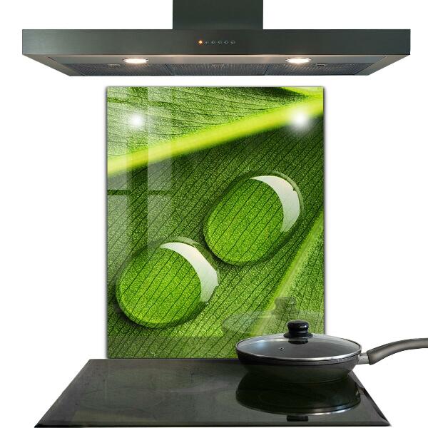 Skleněný panel Kapka rosy na listu