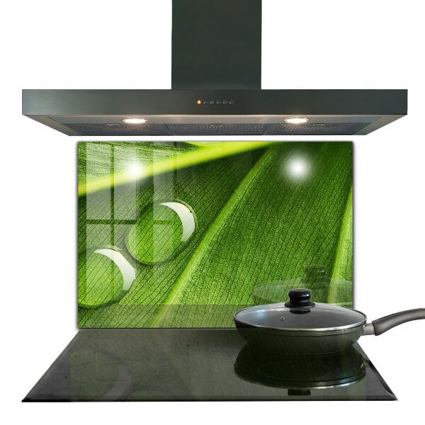 Skleněný panel Kapka rosy na listu