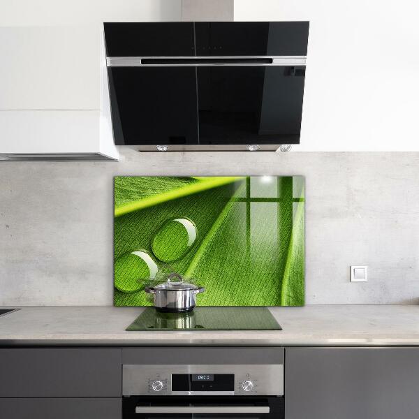 Skleněný panel Kapka rosy na listu