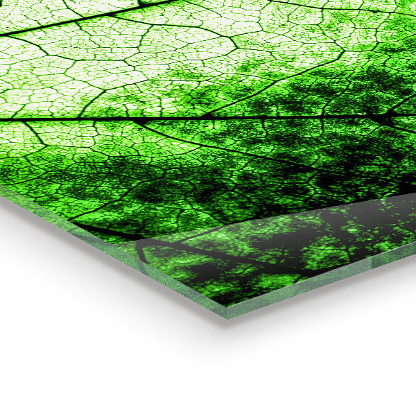 Skleněný panel Textura zeleného listu