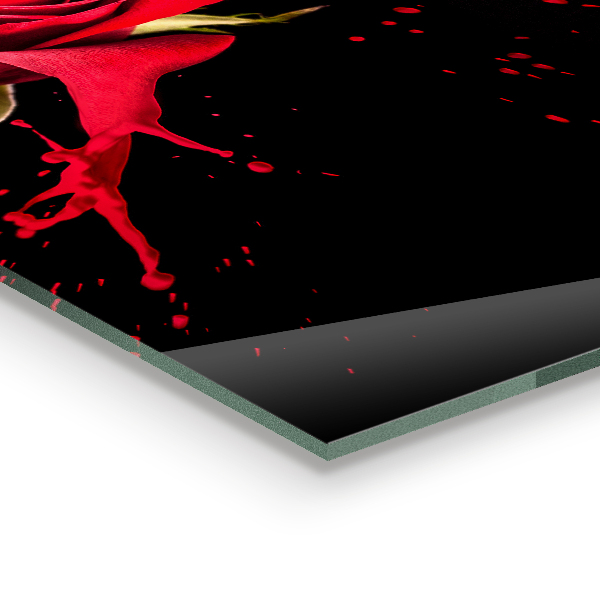 Skleněný panel Abstraktní červená růže