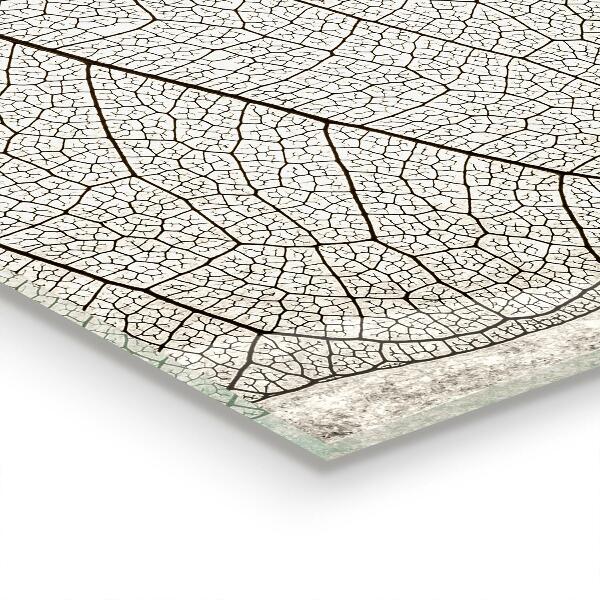 Skleněný panel Sépiový list textura