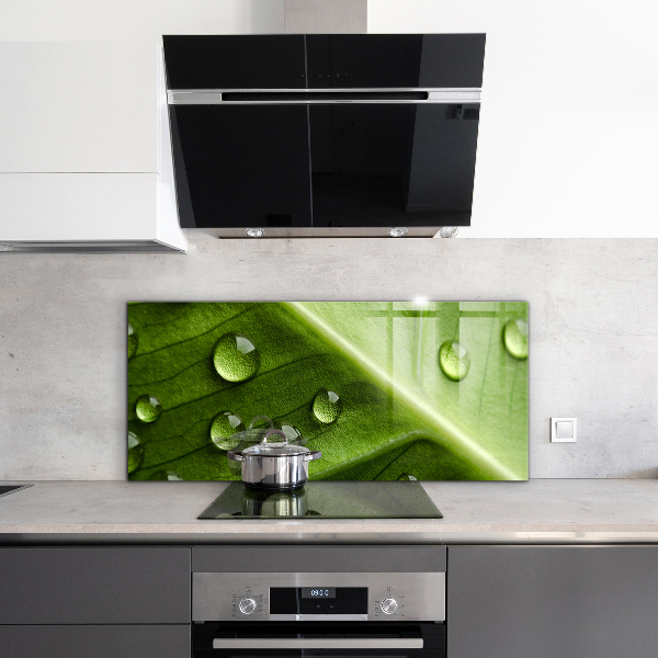 Skleněný panel List s kapkami ranní rosy