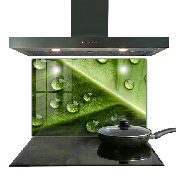 Skleněný panel List s kapkami ranní rosy