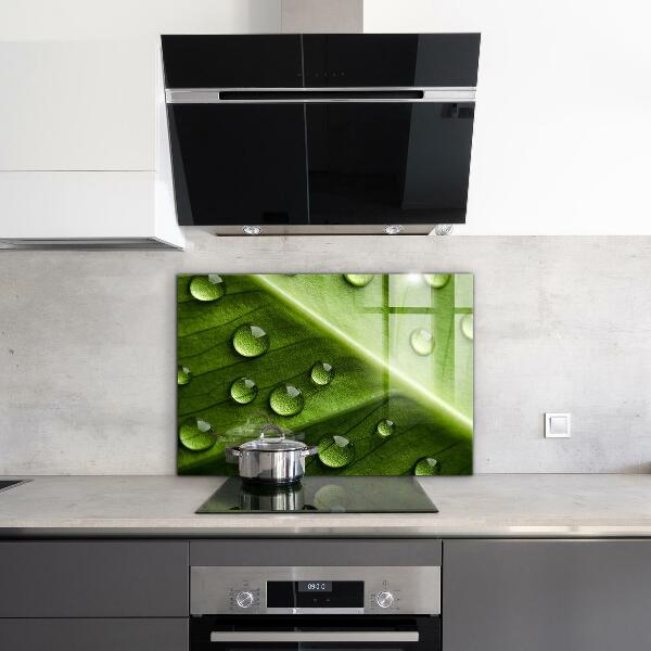 Skleněný panel List s kapkami ranní rosy