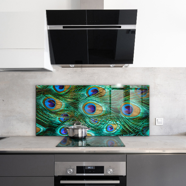 Skleněné obklady do kuchyně Paví peří krásná příroda