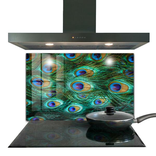 Skleněné obklady do kuchyně Paví peří krásná příroda