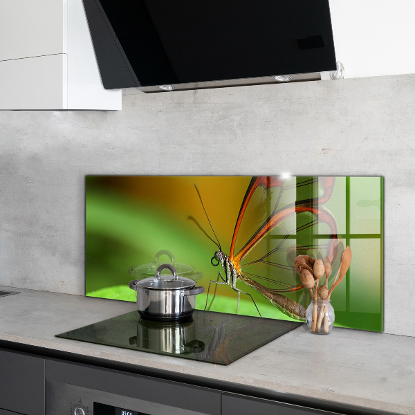 Skleněný panel Motýl na listu