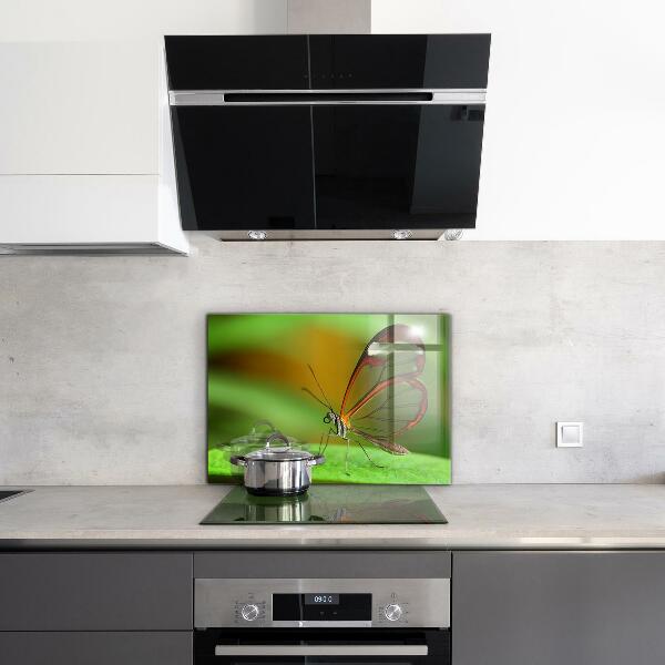 Skleněný panel Motýl na listu