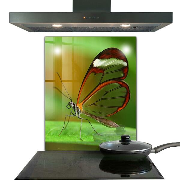 Skleněný panel Motýl na listu