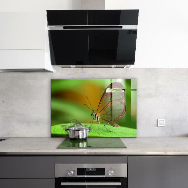 Skleněný panel Motýl na listu