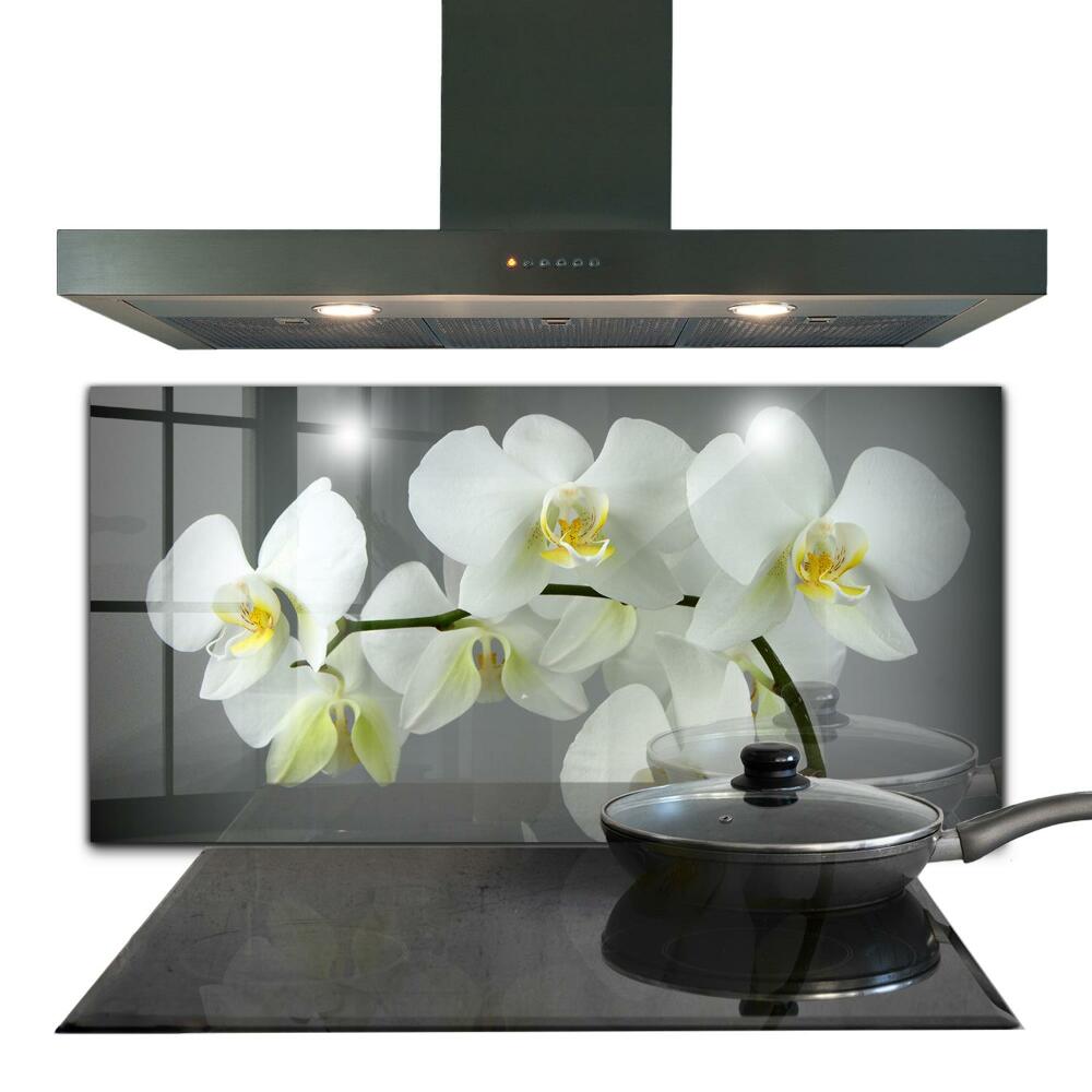 Skleněný panel Bílá orchidej na černém pozadí