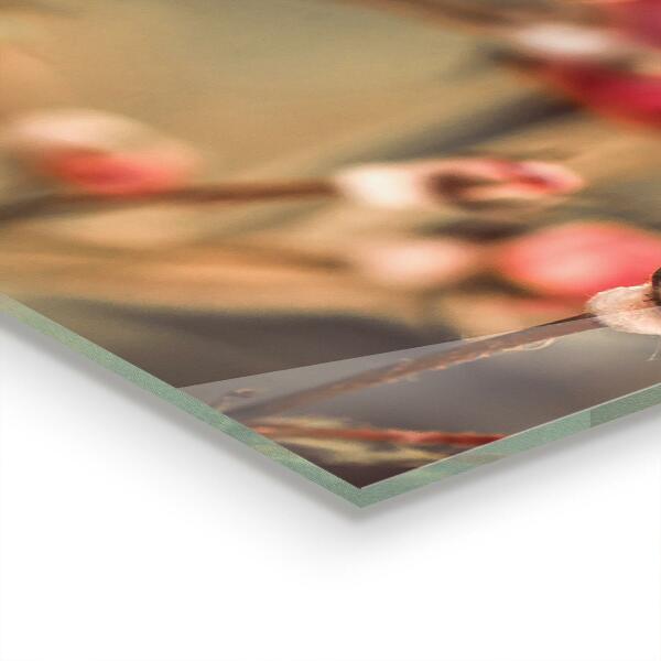 Skleněný panel Divoká růže v parku