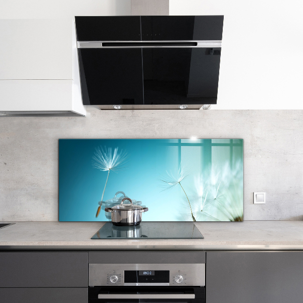 Skleněné obklady do kuchyně Pampeliška pampeliška ve větru