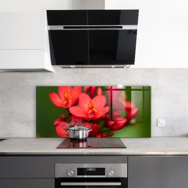 Skleněné obklady do kuchyně Kvetoucí poupata