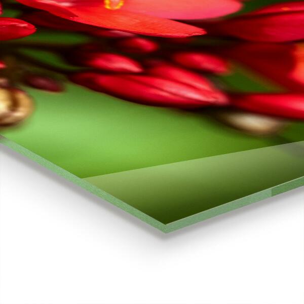 Skleněné obklady do kuchyně Kvetoucí poupata