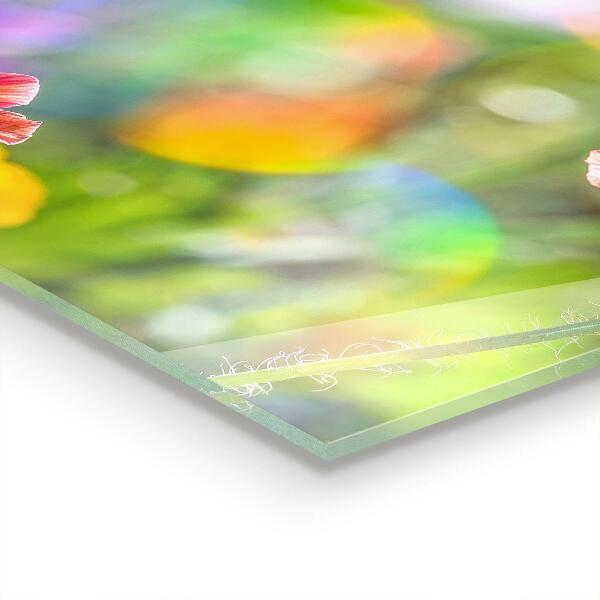 Skleněné obklady do kuchyně Letní louka vlčích máků