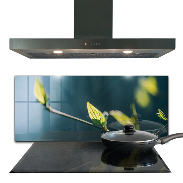 Skleněné obklady do kuchyně Lesklé listí na větvi