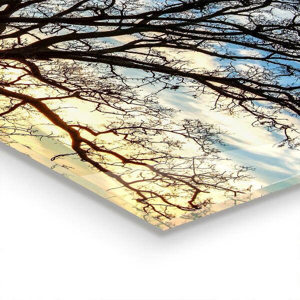 Skleněný panel Krajina louka v dopoledních hodinách