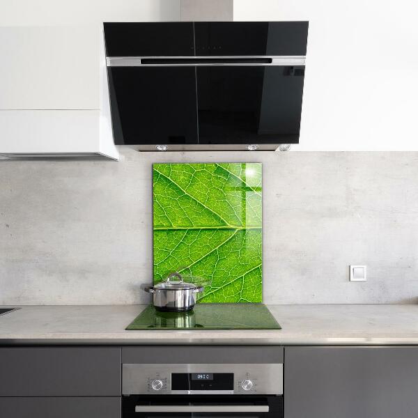 Skleněné obklady do kuchyně Jemné detaily listů