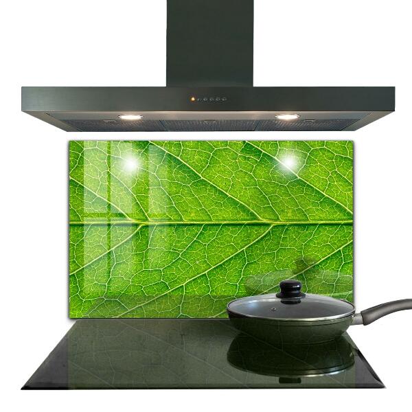 Skleněné obklady do kuchyně Jemné detaily listů