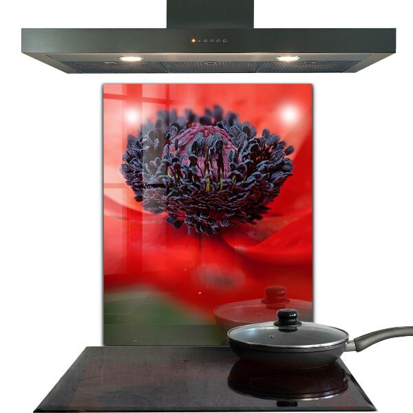 Skleněný panel Detaily červeného máku