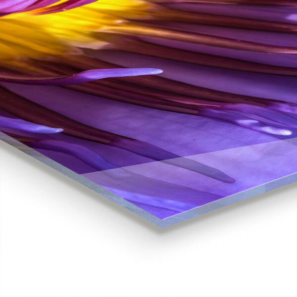 Skleněný panel Podrobnosti o fialovém květu